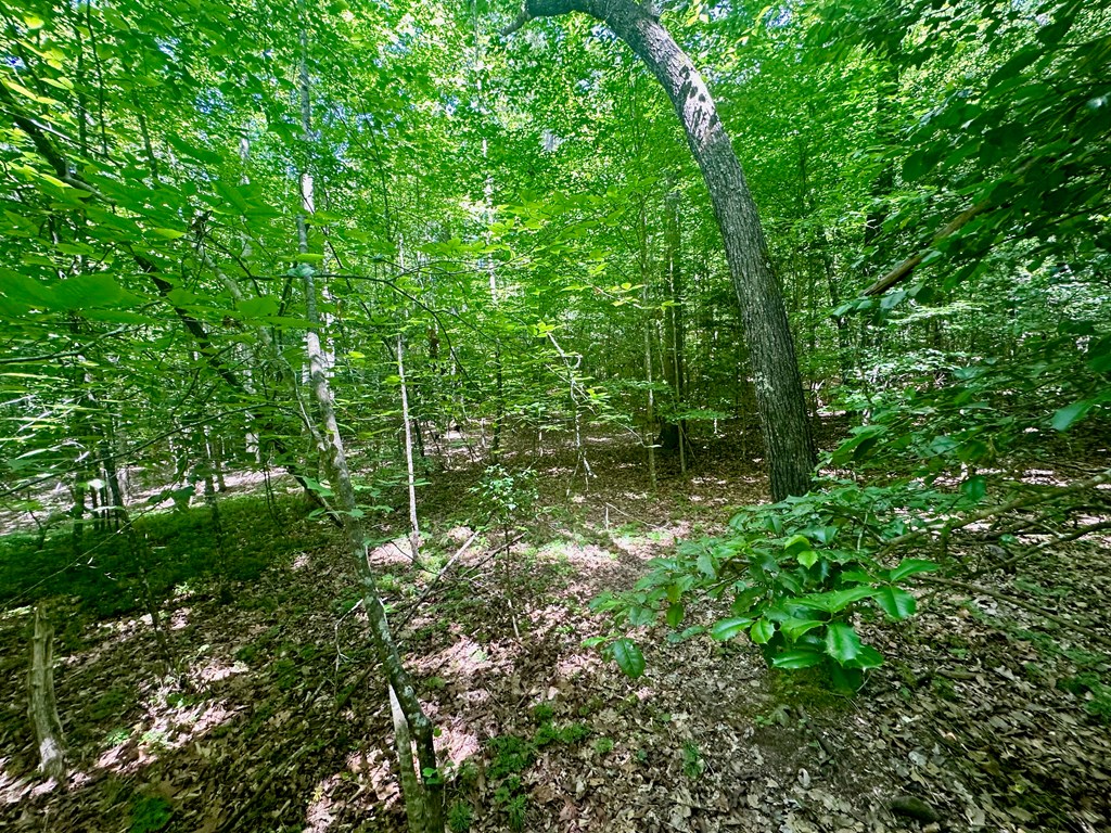 8427 Gum Log Rd Property Photo 14