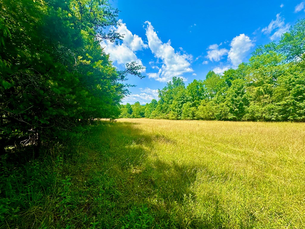 8427 Gum Log Rd Property Photo 15