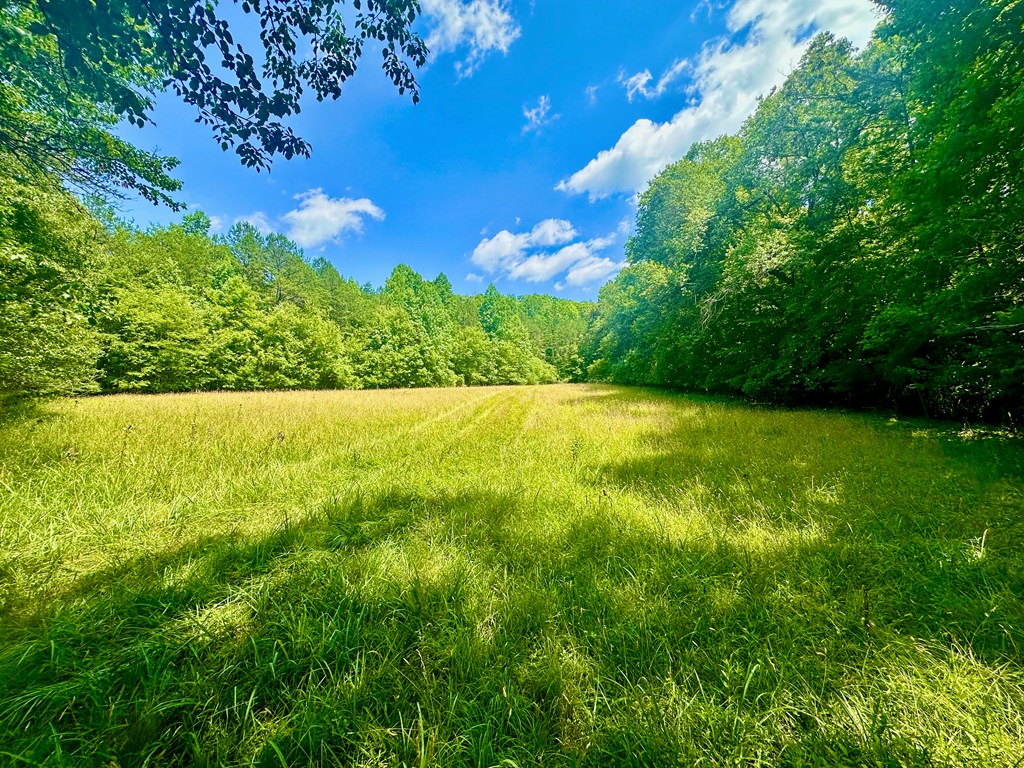 8427 Gum Log Rd Property Photo 16