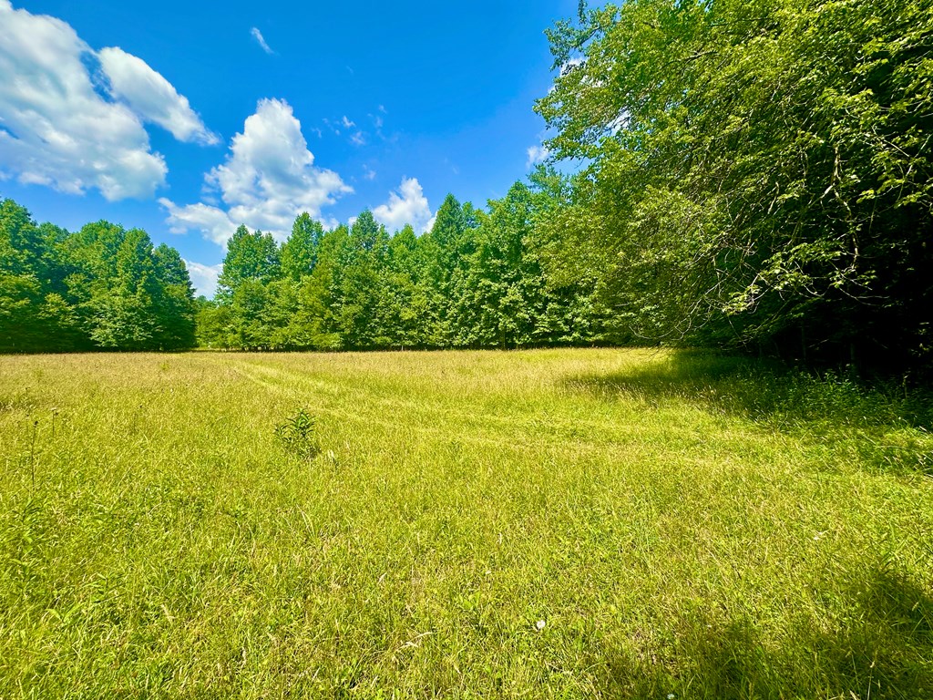 8427 Gum Log Rd Property Photo 17