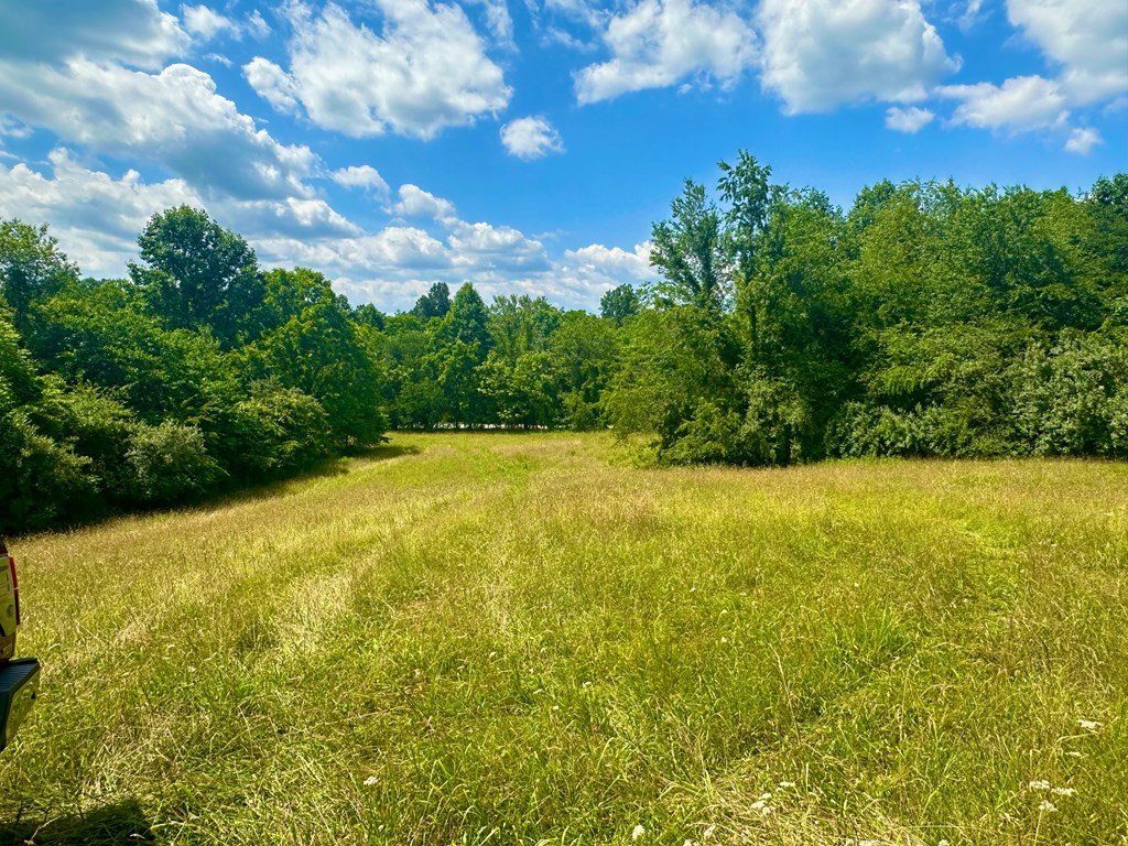 8427 Gum Log Rd Property Photo 19