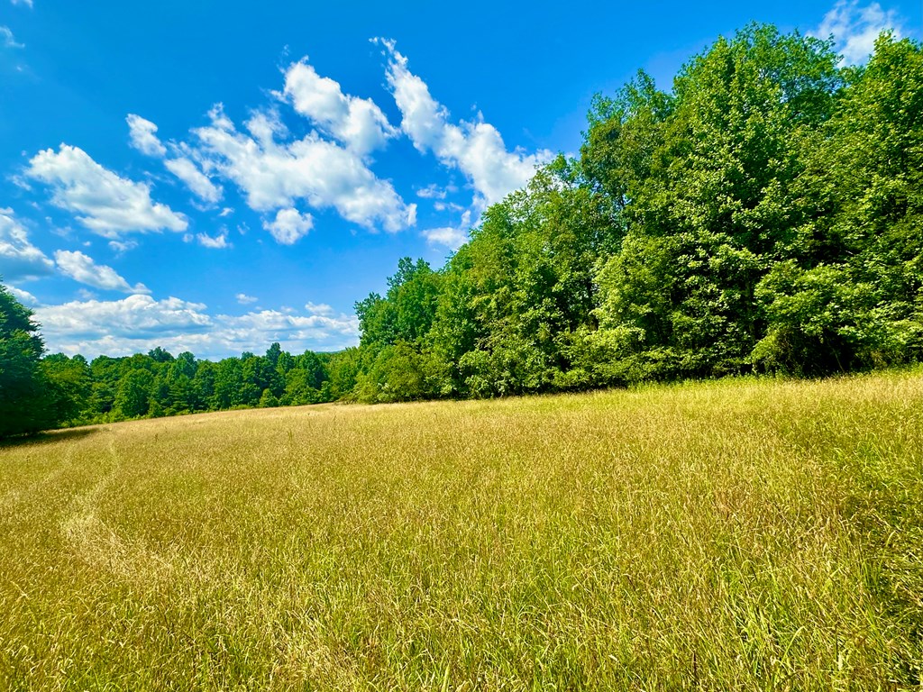 8427 Gum Log Rd Property Photo 20