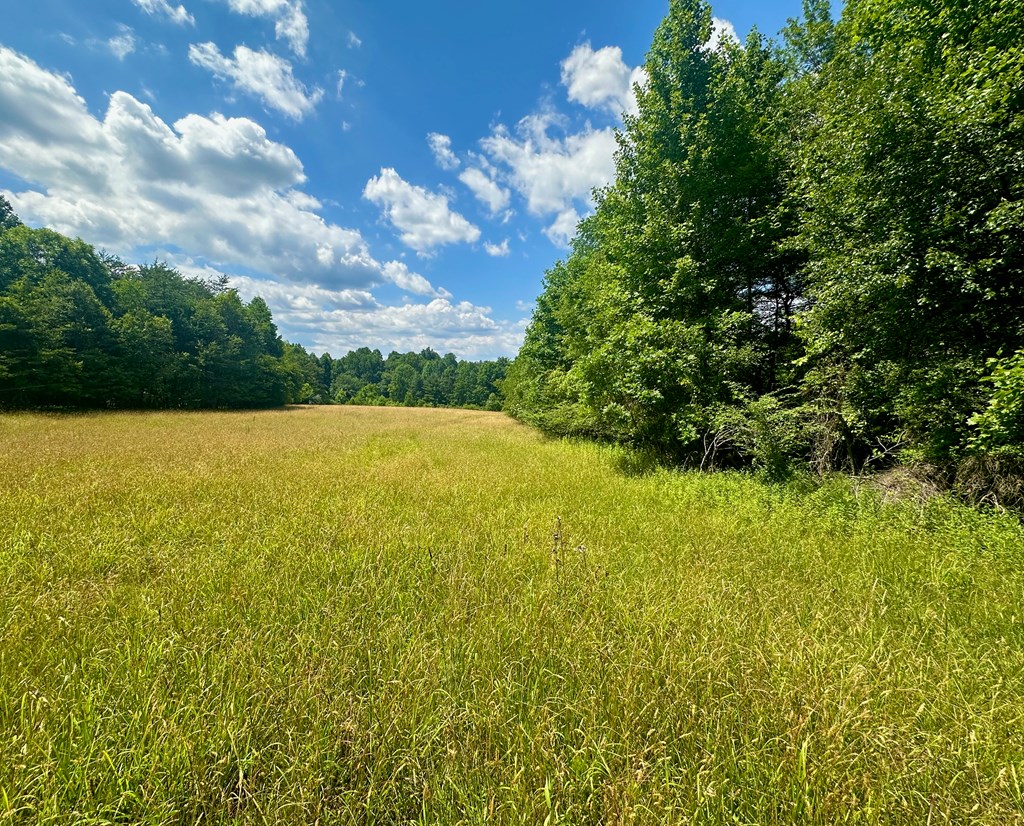 8427 Gum Log Rd Property Photo 22