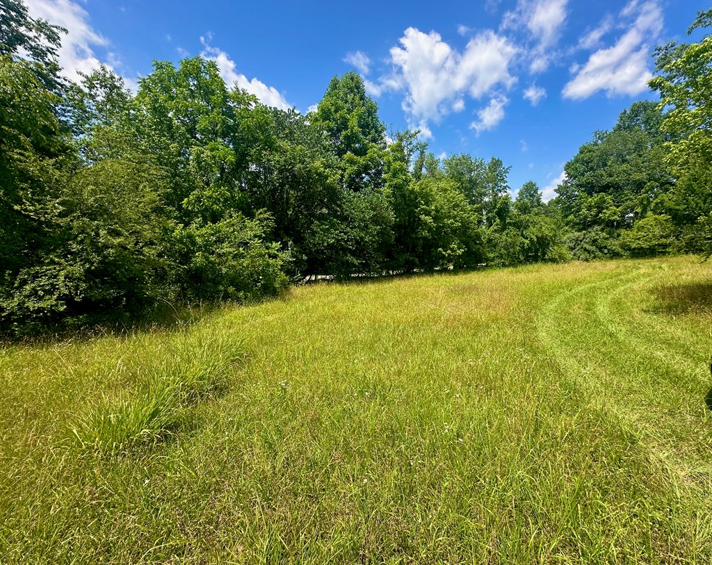 8427 Gum Log Rd Property Photo 23