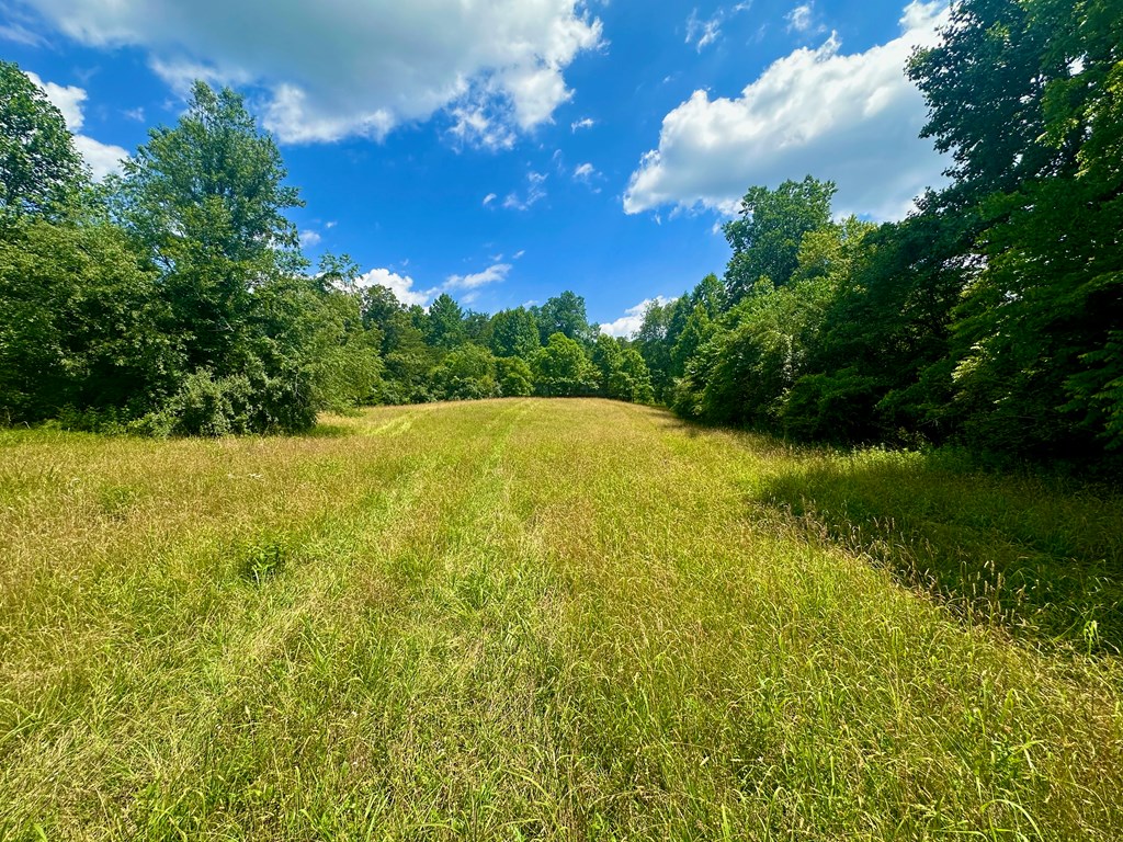 8427 Gum Log Rd Property Photo 24