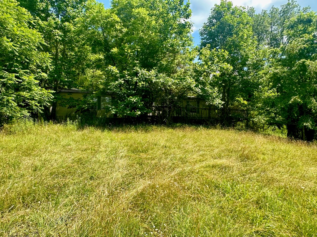 8427 Gum Log Rd Property Photo 26