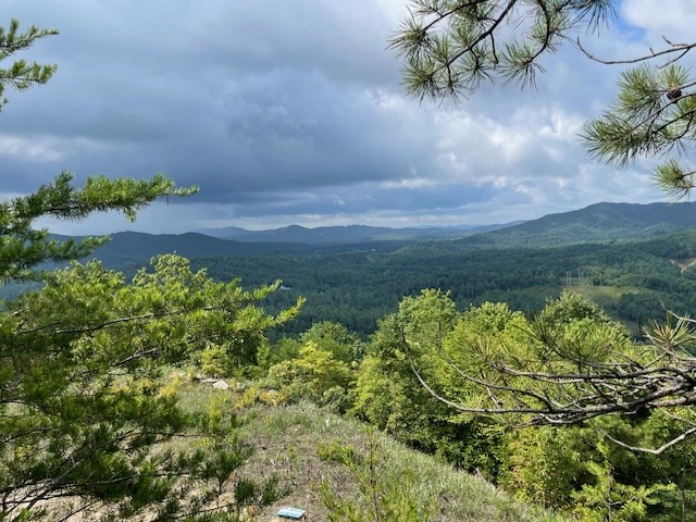 Lot 30 Locust Loop Lane Property Photo 2