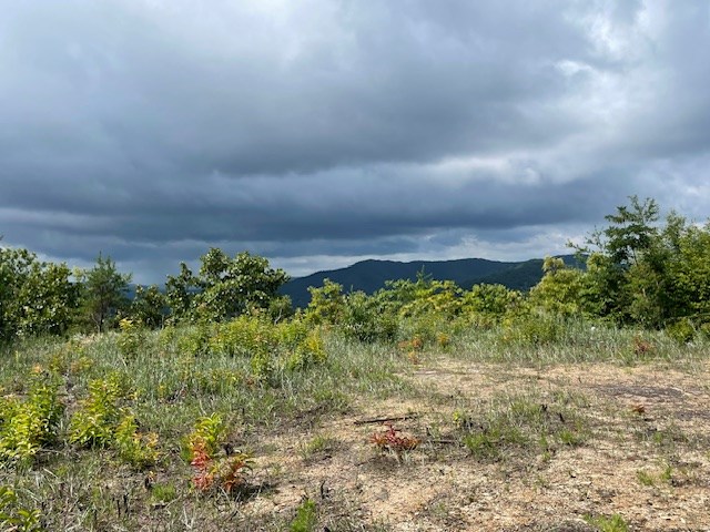 Lot 30 Locust Loop Lane Property Photo 5
