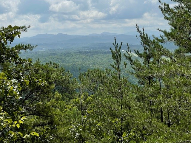 Lot 30 Locust Loop Lane Property Photo 6