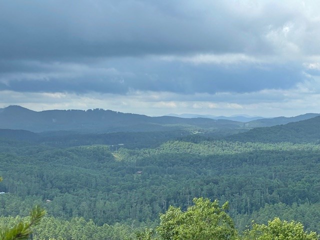 Lot 30 Locust Loop Lane Property Photo 13