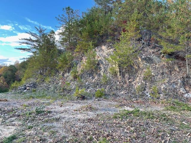 Lot 30 Locust Loop Lane Property Photo 14
