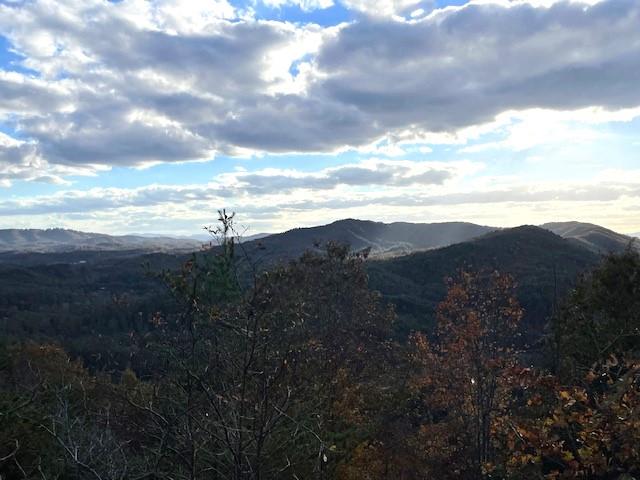Lot 30 Locust Loop Lane Property Photo 16