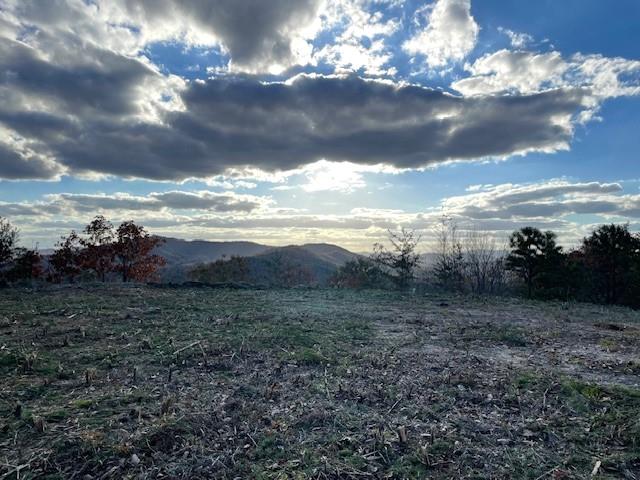 Lot 30 Locust Loop Lane Property Photo 19