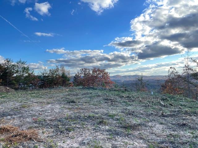 Lot 30 Locust Loop Lane Property Photo 20