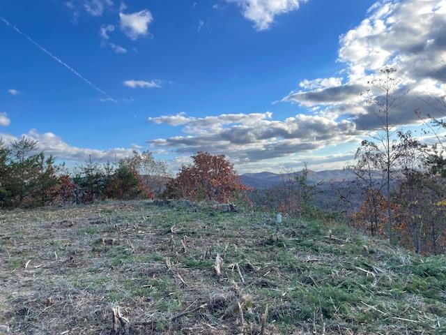 Lot 30 Locust Loop Lane Property Photo 21
