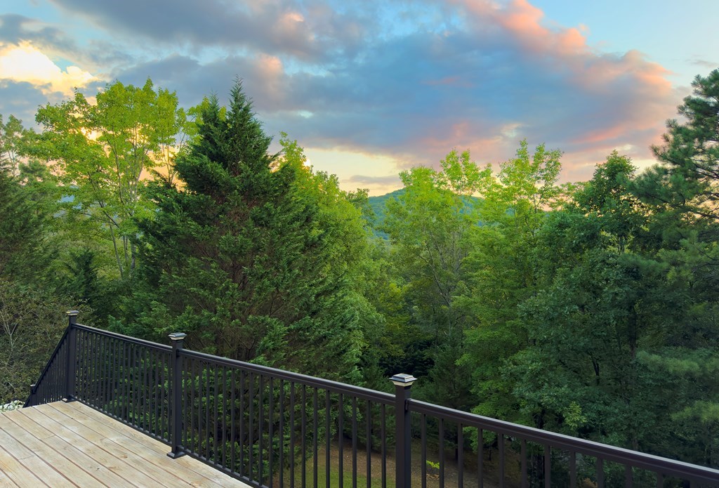 120 Eagle Fork Summit Property Photo 3