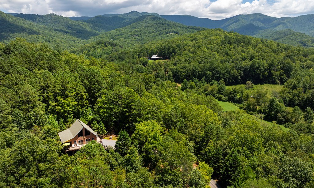 120 Eagle Fork Summit Property Photo 33