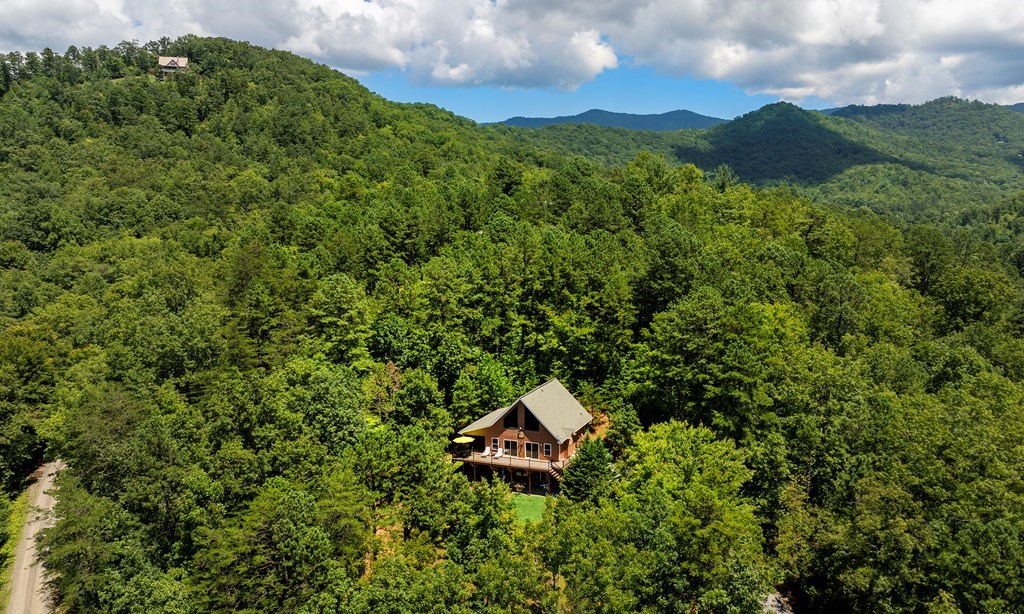 120 Eagle Fork Summit Property Photo 34