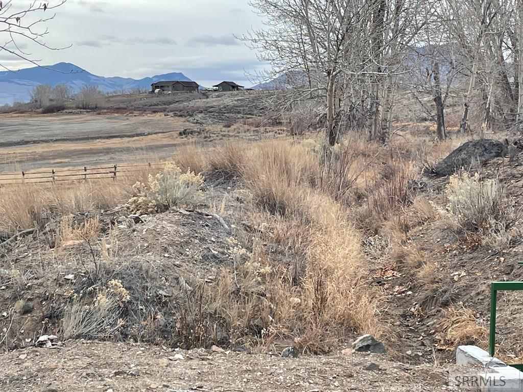 1111 Buckskin Run Property Photo 10