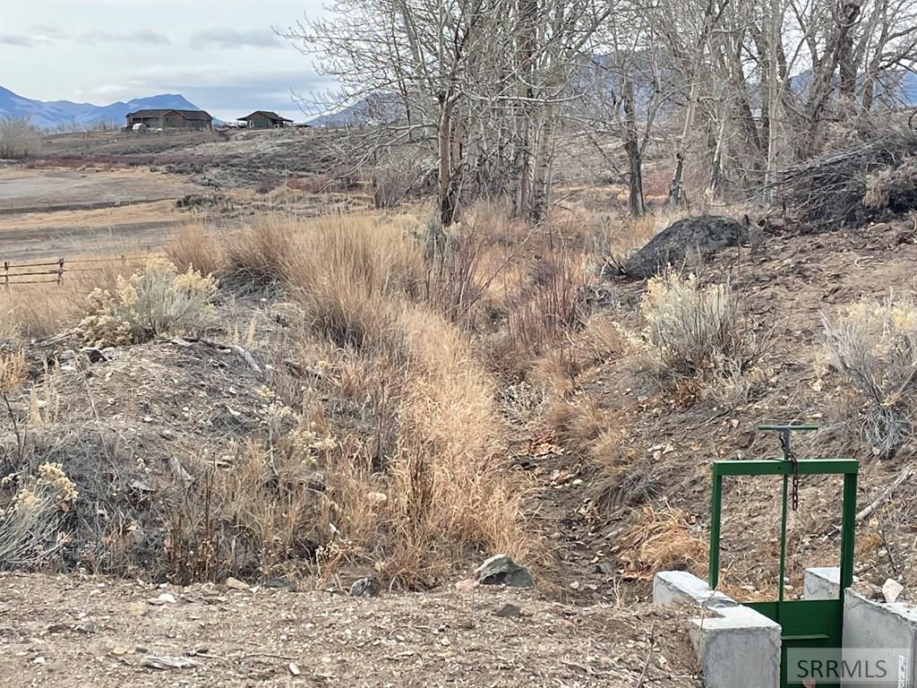 1111 Buckskin Run Property Photo 11