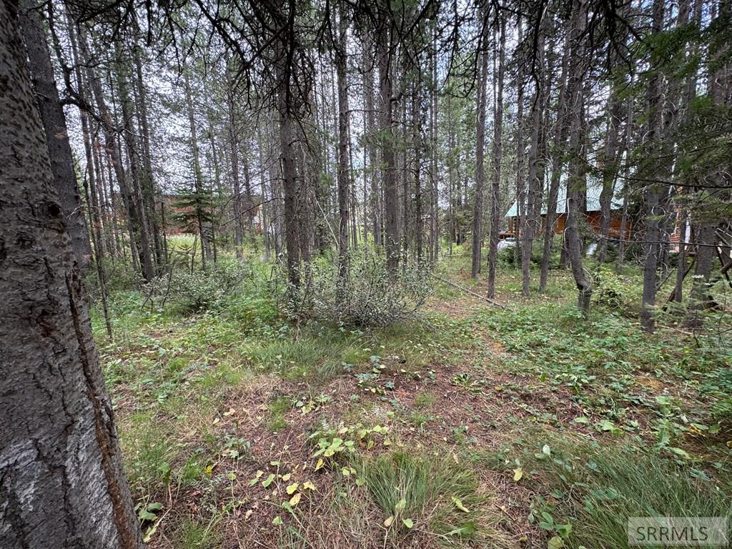 4088 Winchester Road Property Photo 37