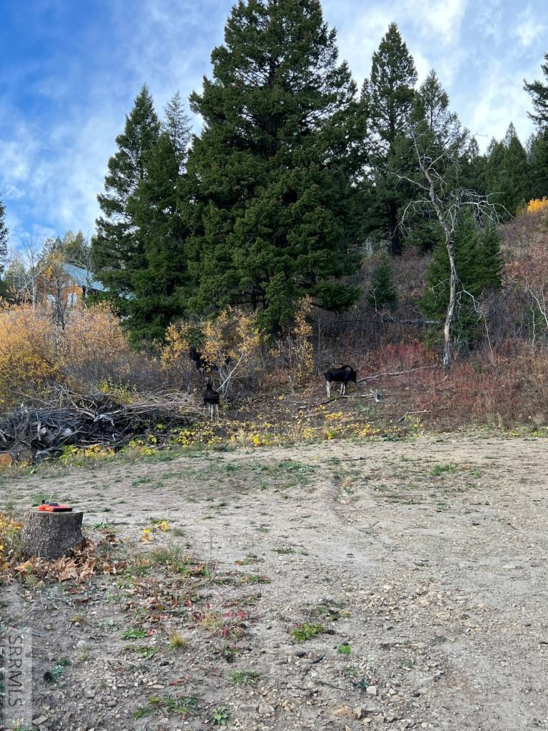 5166 Mountain Drive Property Photo 1