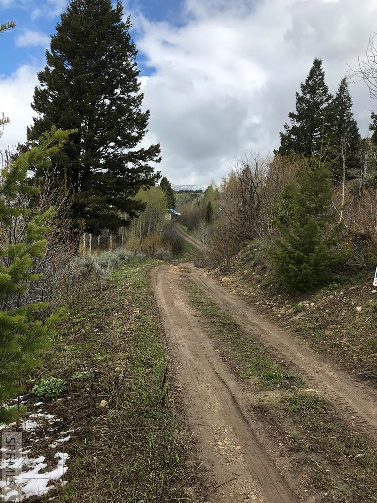 5166 Mountain Drive Property Photo 4
