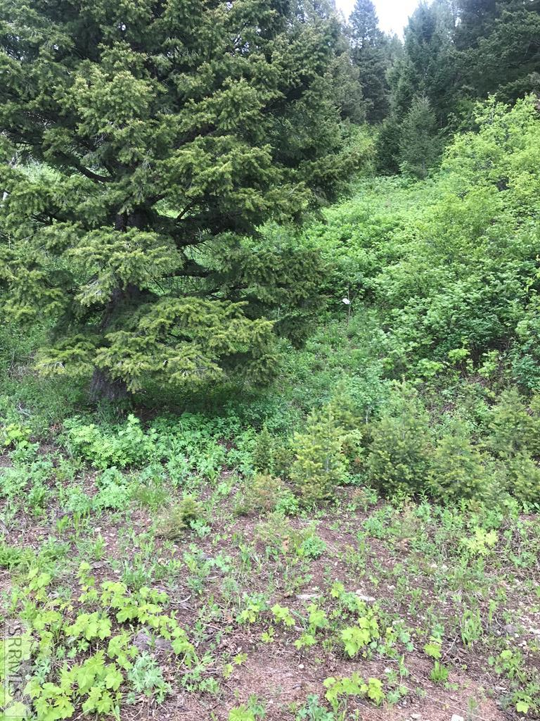 5166 Mountain Drive Property Photo 13