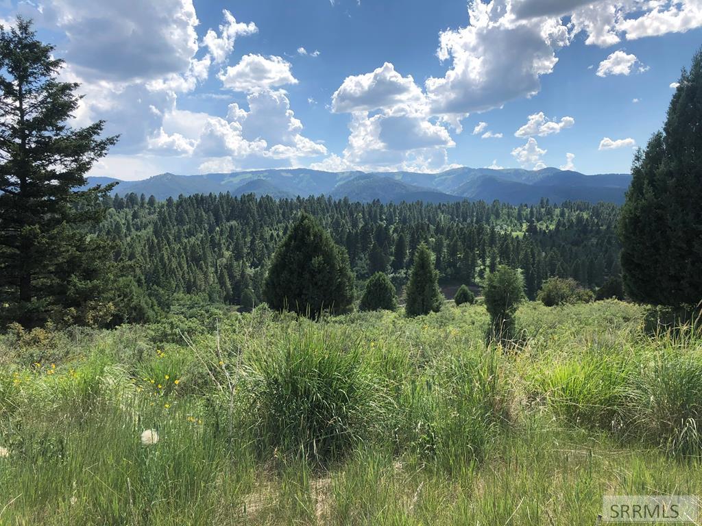 L63b4 Cutthroat Run Property Photo