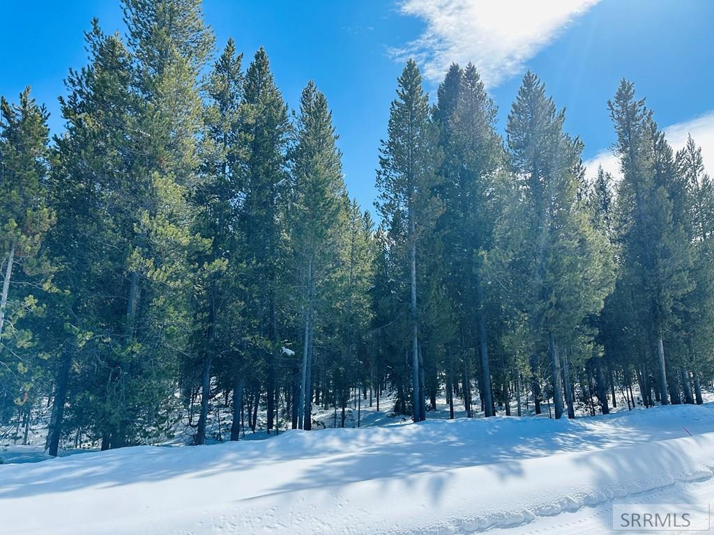 4498 Stone Run Property Photo