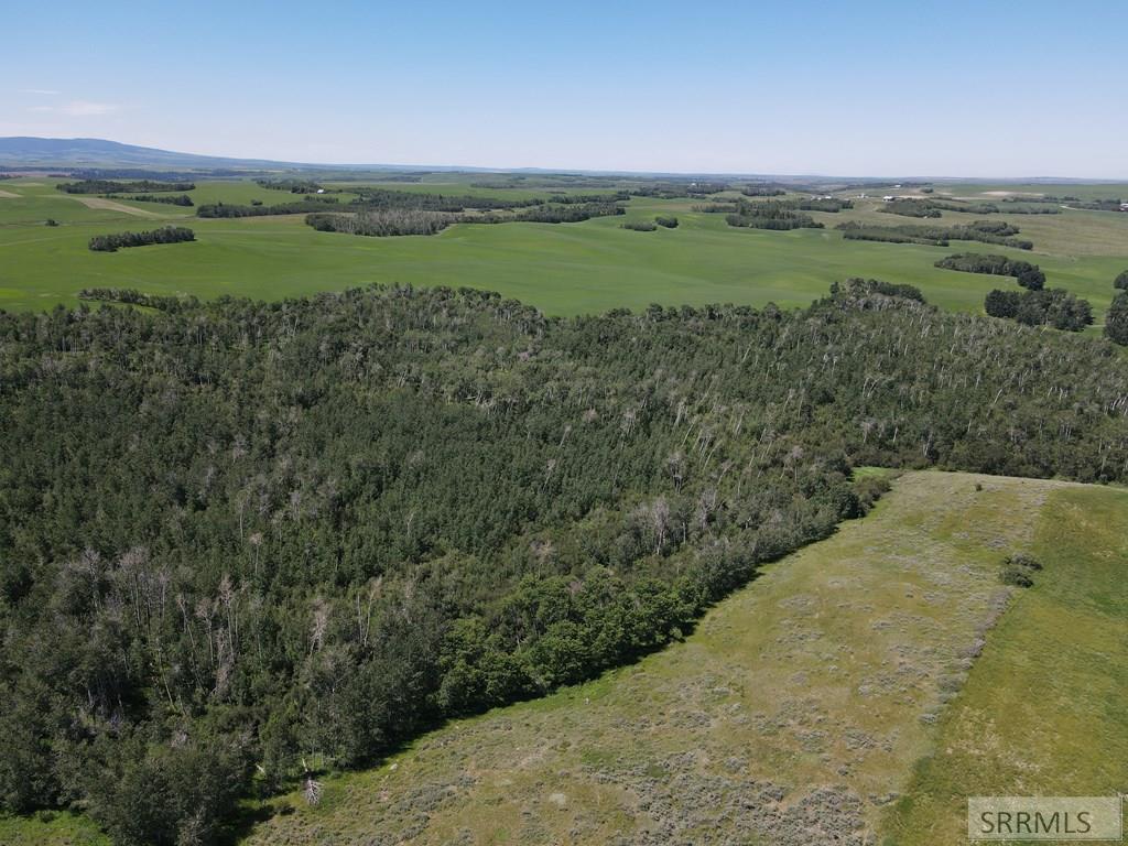 Tbd N 4600 E Property Photo 16