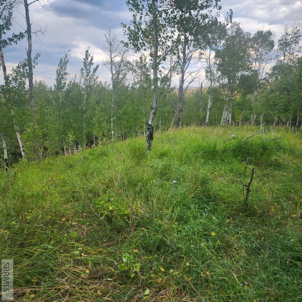 Tbd N 4600 E Property Photo 31