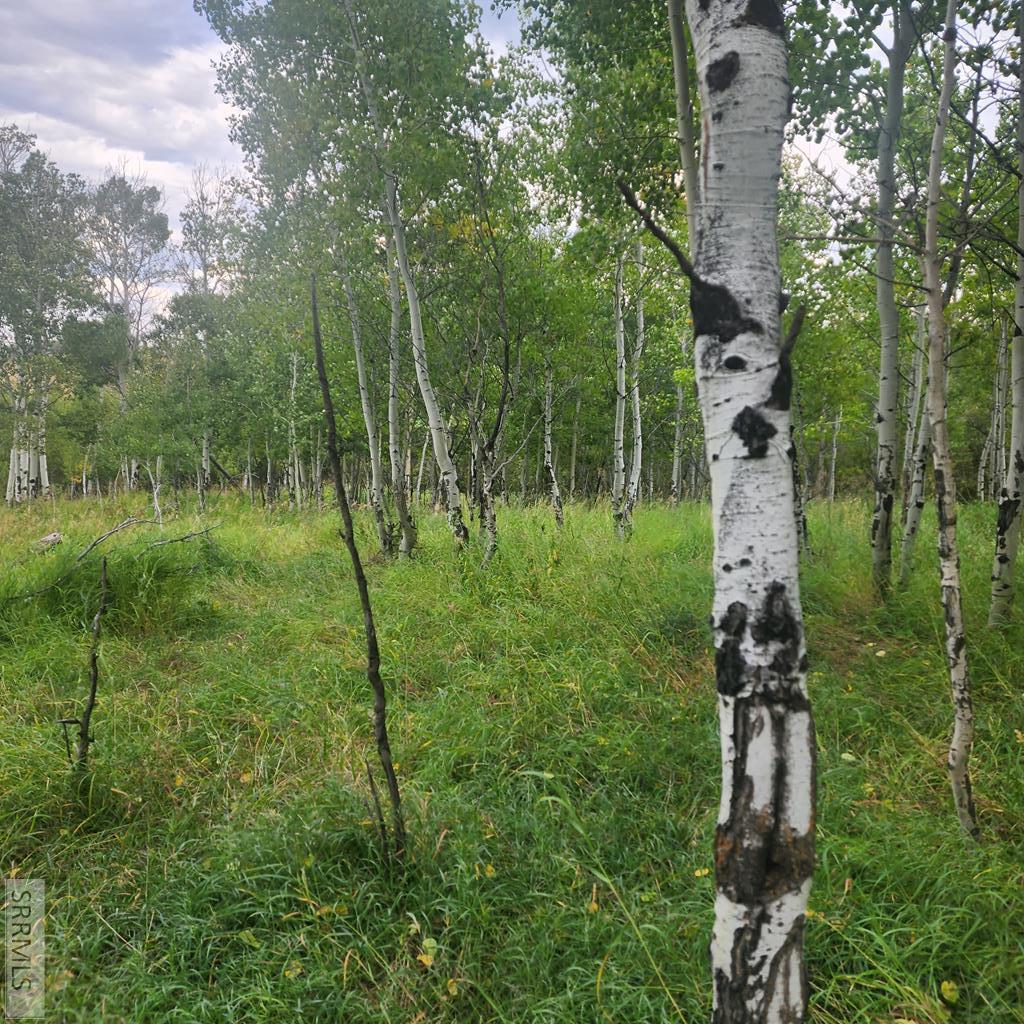 Tbd N 4600 E Property Photo 32