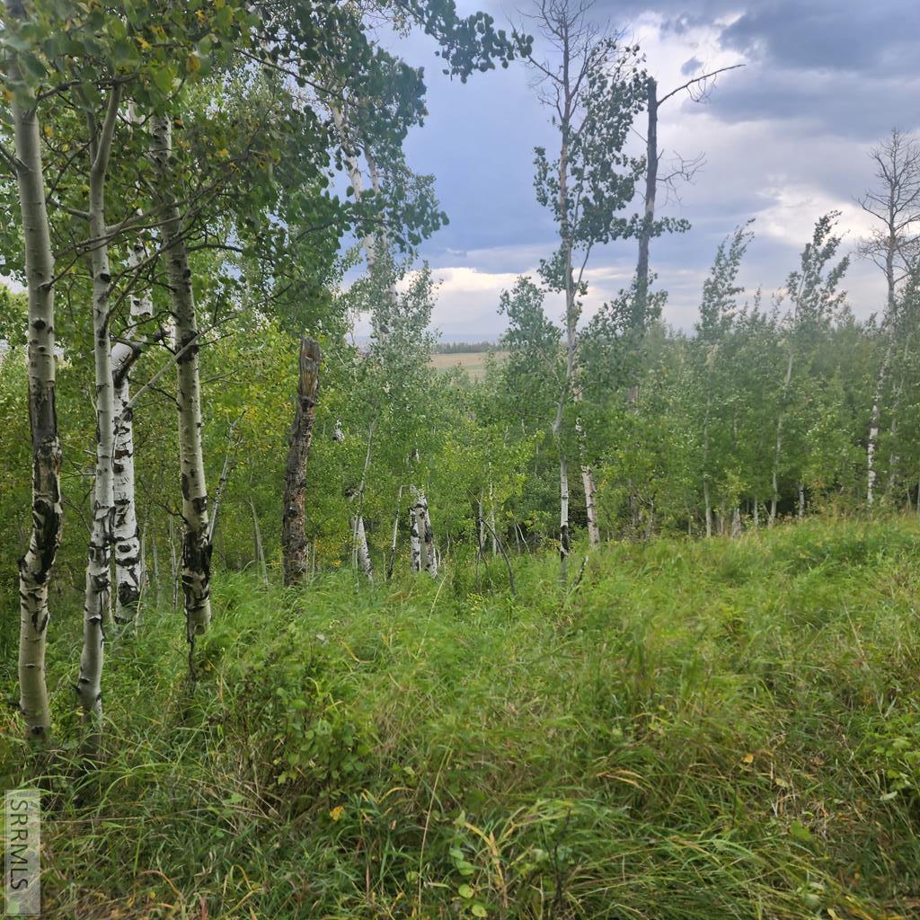 Tbd N 4600 E Property Photo 33