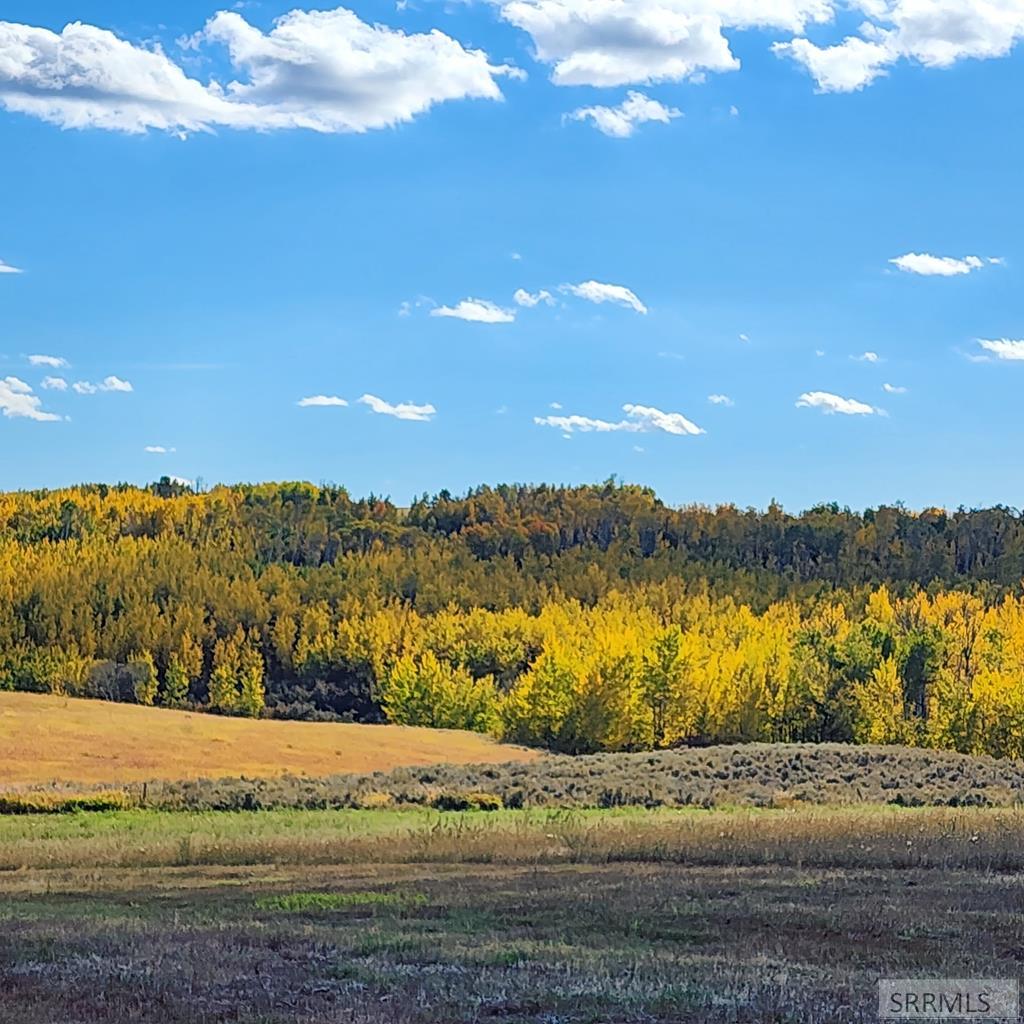 Tbd N 4600 E Property Photo 36