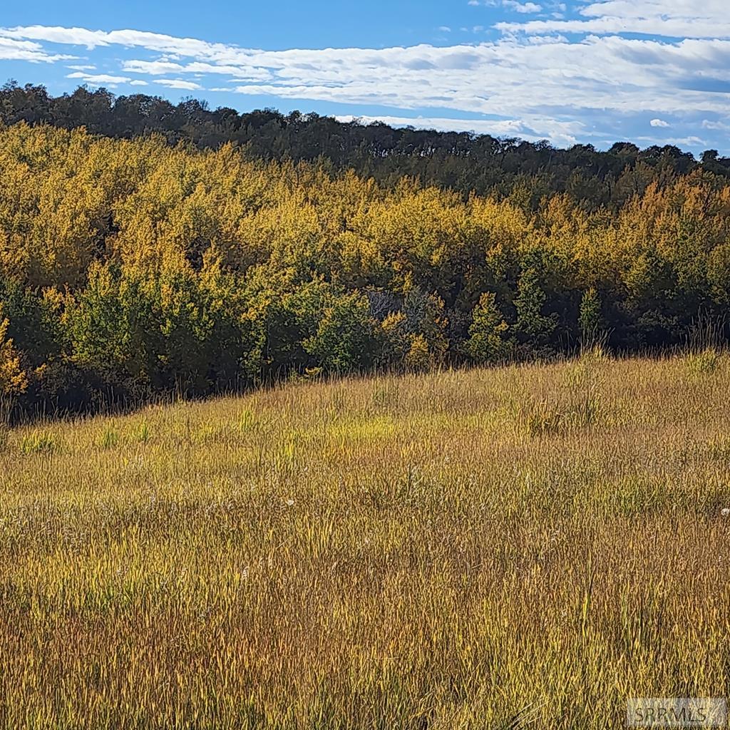 Tbd N 4600 E Property Photo 37