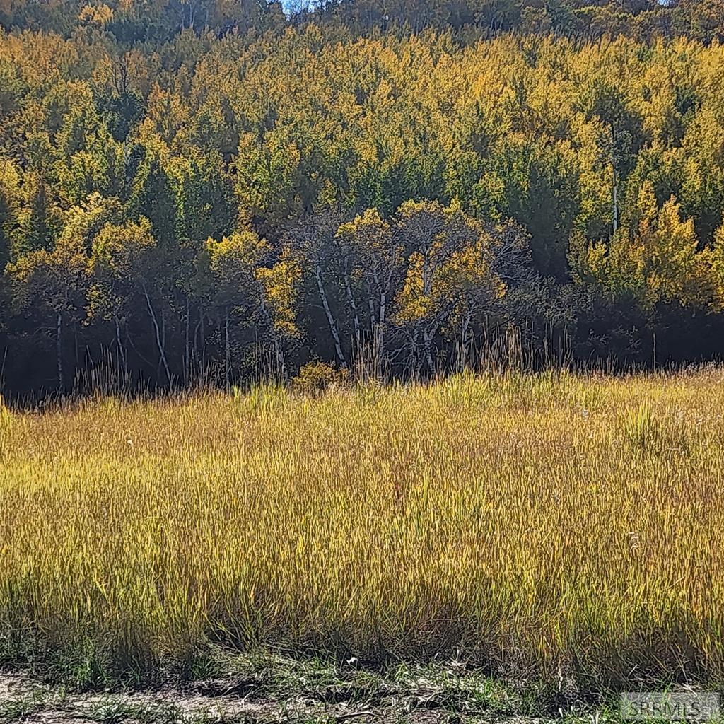 Tbd N 4600 E Property Photo 38