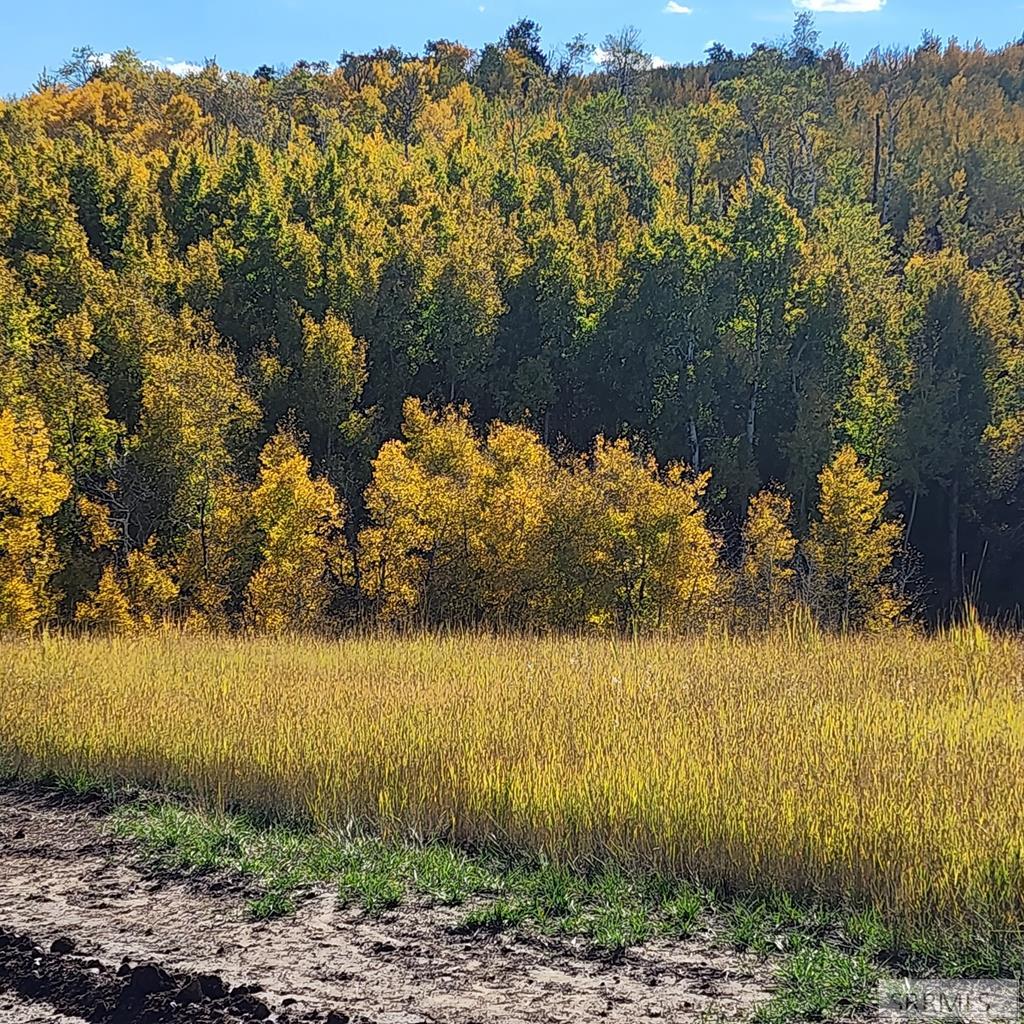 Tbd N 4600 E Property Photo 39