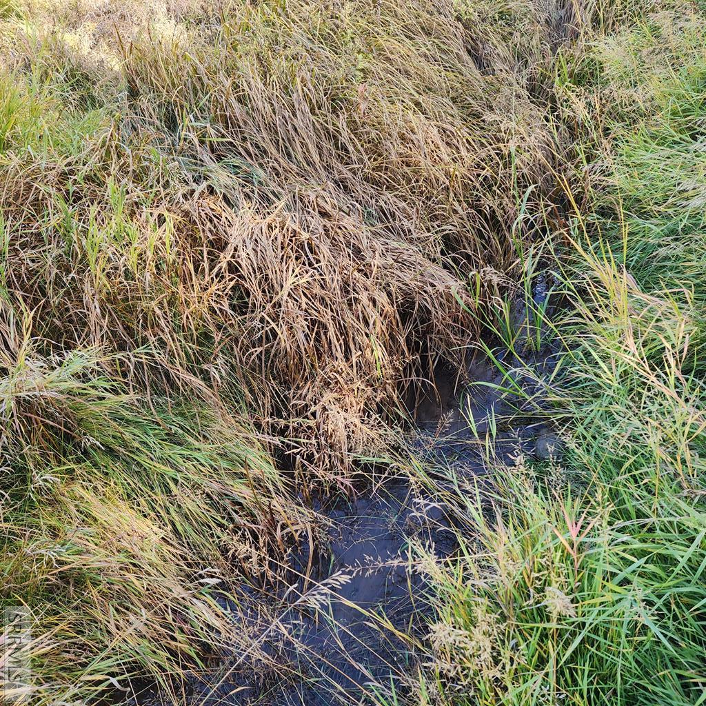 Tbd N 4600 E Property Photo 42