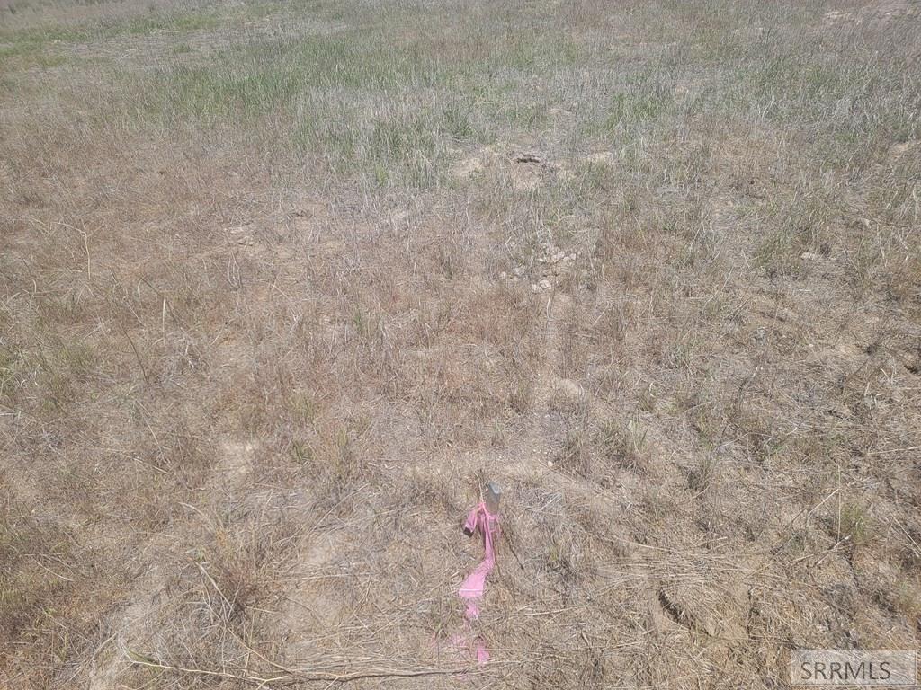 Tbd Lark Avenue Property Photo 8