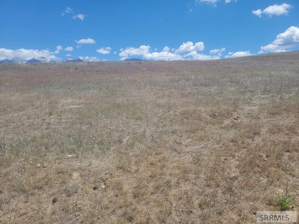 Tbd Lark Avenue Property Photo 11