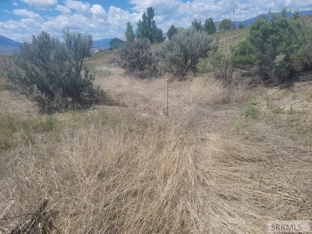 Tbd Lark Avenue Property Photo 18