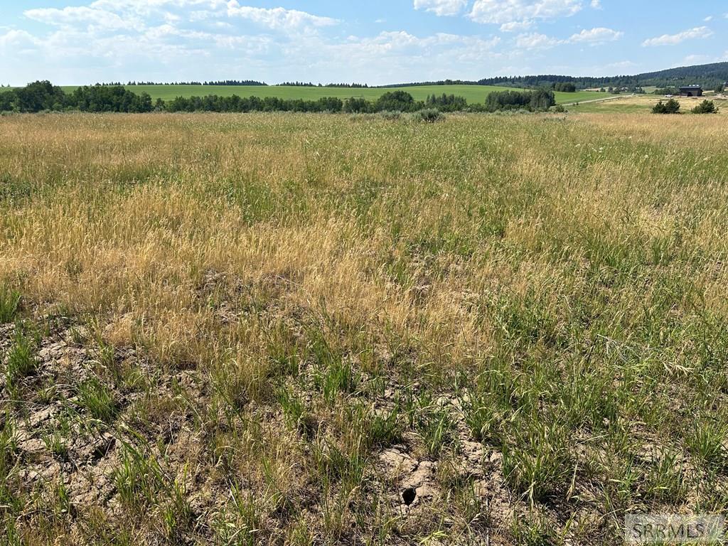 1593 Sharptail Road Property Photo 2