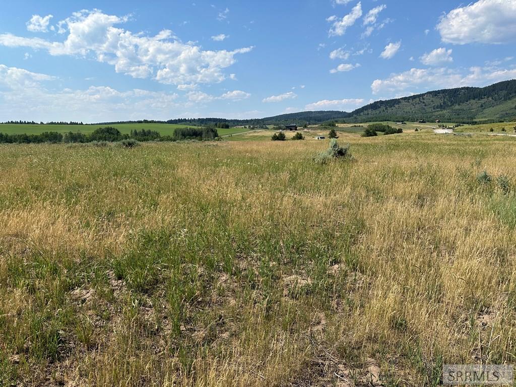 1593 Sharptail Road Property Photo 3