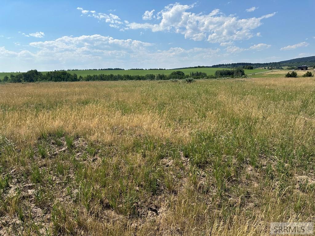 1593 Sharptail Road Property Photo 4