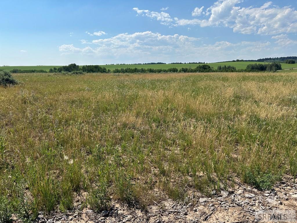 1593 Sharptail Road Property Photo 5