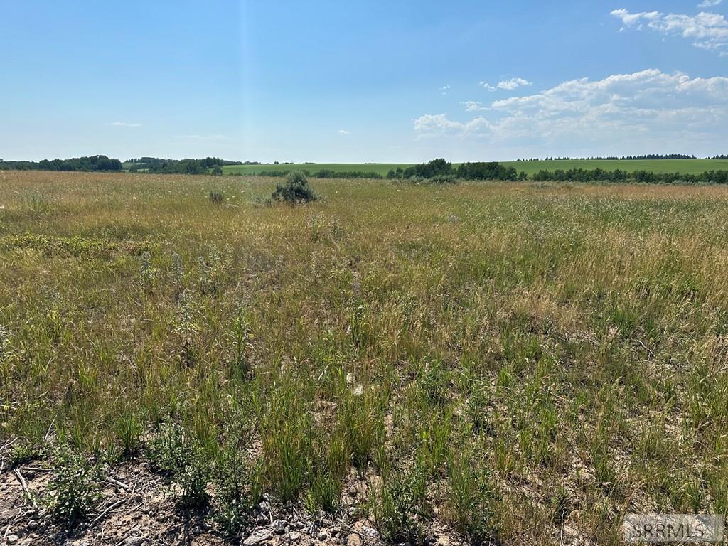 1593 Sharptail Road Property Photo 6