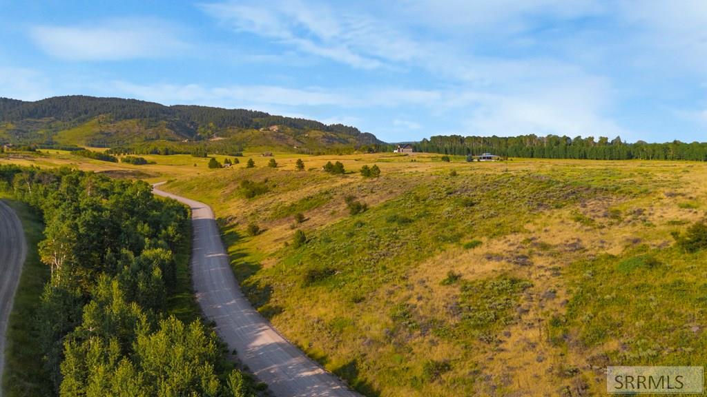 1593 Sharptail Road Property Photo 8