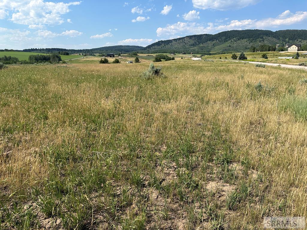 1593 Sharptail Road Property Photo 21
