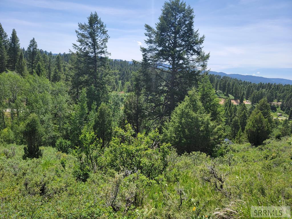 L58 B4 Cutthroat Run Property Photo